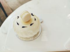 -PAUL LAFAYET 法式甜品(港汇广场店)