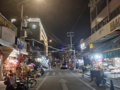 -溪岸路花鸟市场