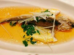 糟香鸡油鲜黄鱼-上海虹桥宾馆味翠餐厅