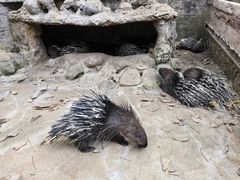 -海南热带野生动植物园