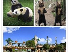 -北京鹿世界主题园