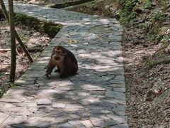 -黄山翡翠谷景区