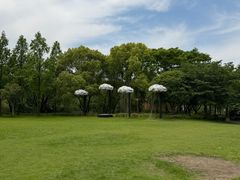 -长兴太湖图影湿地文化园