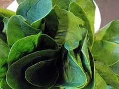 -南门四季铜锅涮肉(大屯·北苑店)