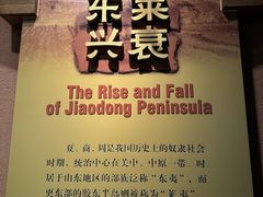 -烟台市博物馆