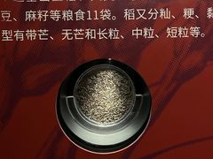 -马王堆汉墓遗址