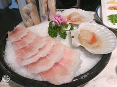-汤城·料青山