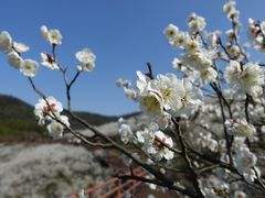 -原乡小镇度假乐园