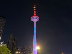 -辽宁电视塔