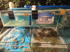 -渔家火锅·海鲜自助餐·演艺(亚龙湾天域酒店)