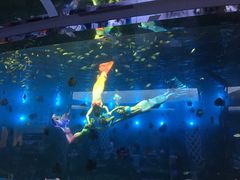 -瑞德姆美人鱼海底演艺主题餐厅(亚龙湾店)