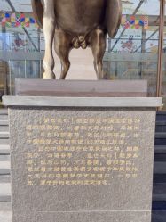 -中国黄金(北京旗舰店)