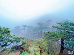 -黄山风景区