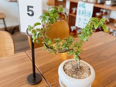 -肥朵食堂(带梦胡同店)