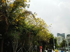 -壹海城ONE MALL