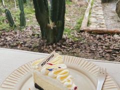 -MOJ coffee(瓯海泽雅水碓坑店)