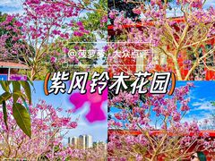 -飞来湖湿地公园