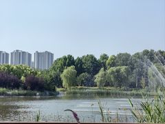 -郑州植物园