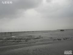 -碧海金沙