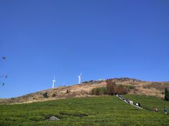 -东白山