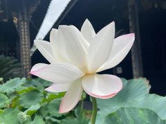 -宝光寺