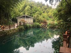 -十八棵（老龙井）御茶园(老龙井店)