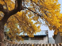 -巴渝兄弟川菜(宽街店)