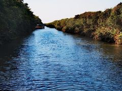 -大湾区中央湿地公园