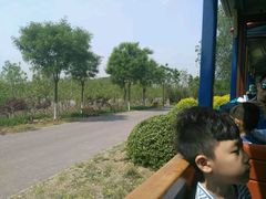 -永定河休闲森林公园