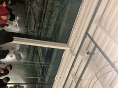 -桉树林A coffee 森林餐厅(三圣乡店)