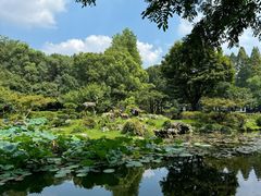 -杭州植物园