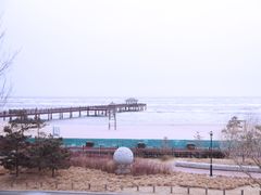 -猫的天空之城概念书店(北戴河蔚蓝海岸店)