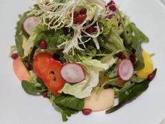 果蔬大拌菜-大鸭梨烤鸭(左家庄店)