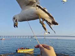 -星海广场