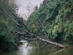 -上海滨江森林公园