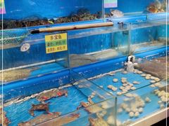 水产区-黄寺蒸汽海鲜(黄寺大街店)