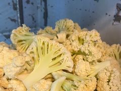 -金鼎雪山牦牛杂火锅(理县总店)