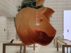 -Apple零售店(济南恒隆广场店)