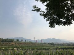 -北京张裕爱斐堡酒庄