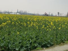 -中国天府农业博览园