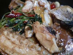 -九道菜有鸡鱼头(石鼓路店)