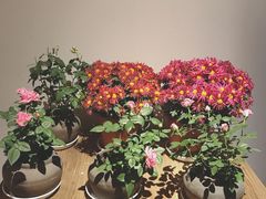 -瓦库茶馆17号(海汇港店)