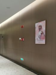 -深圳米兰柏羽医疗美容医院