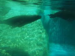 -北戴河圣蓝海洋公园