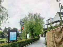-金山嘴渔村