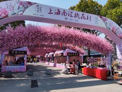 -南汇桃花村