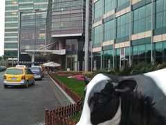 -The COOK·厨餐厅·自助餐(浦东嘉里大酒店)