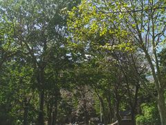 -燕塞湖鸟语林景区