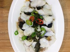 鲜花椒蒸桂花鱼-顺德美食坊(南沙分店)