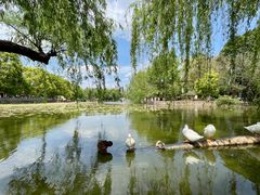 -荔湾湖公园